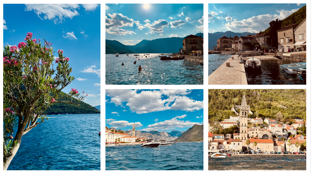 A vibrant scene featuring a flowering plant by the water, with mountains and a clear blue sky in the background.